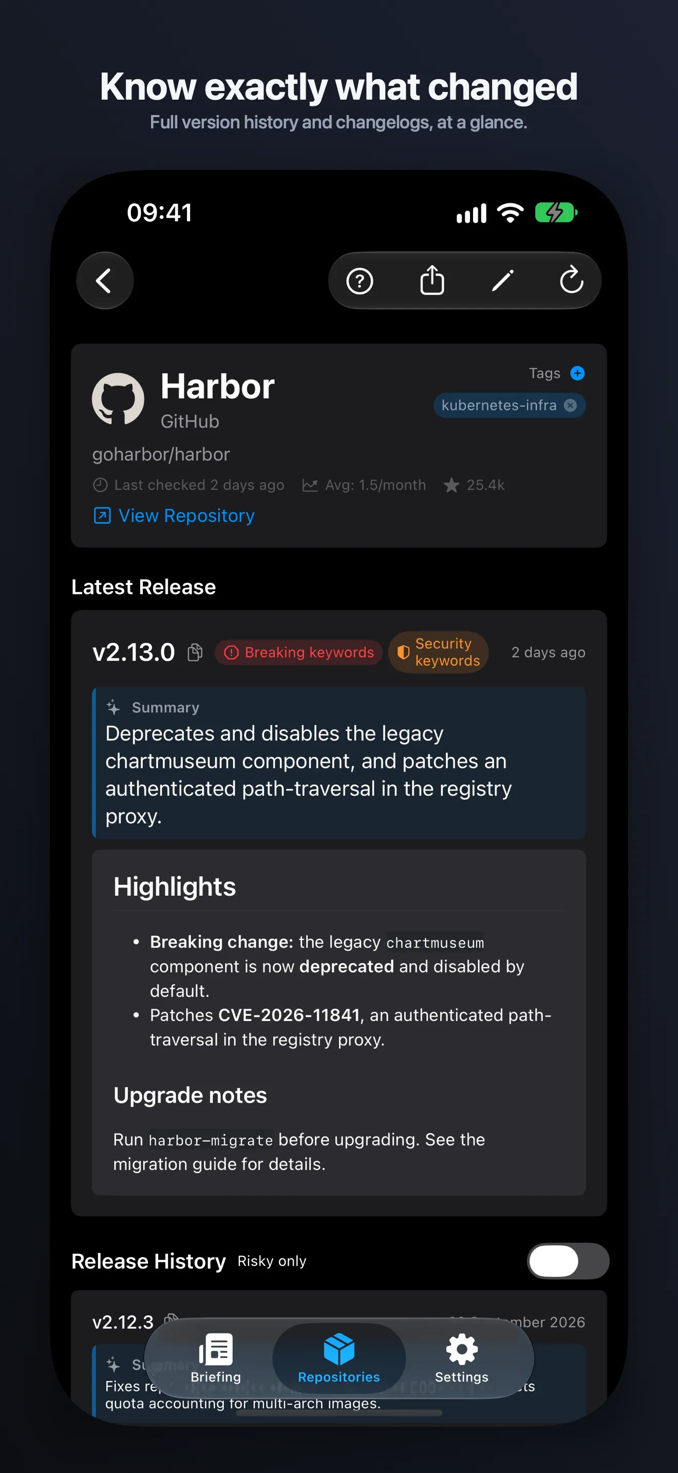 DevPulse on iPhone, showing a repository's version history and release notes.